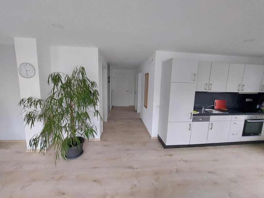 Ferienwohnung Koenigsquelle Bad Wildungen Exteriér fotografie